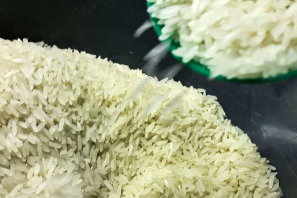 Conab anuncia R$ 300 milhões para produtores de arroz na safra 2025/26