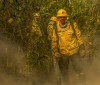 Fotógrafo da Agência Brasil é destaque em prêmio internacional