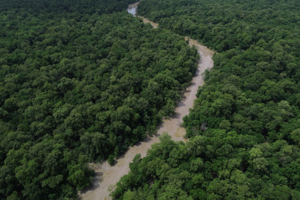 Programação do Dia da Amazônia mobiliza para COP30