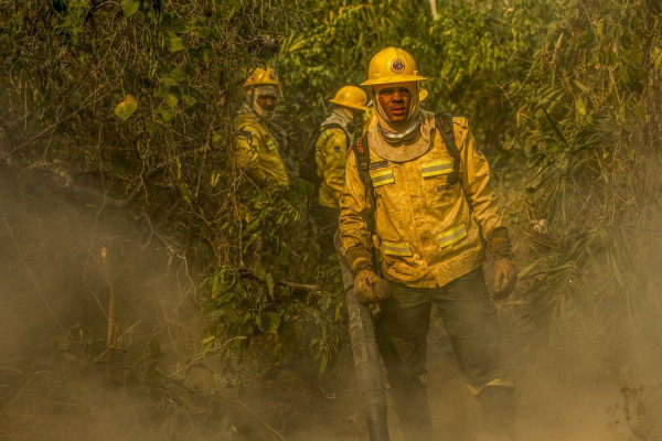 Fotógrafo da Agência Brasil é destaque em prêmio internacional