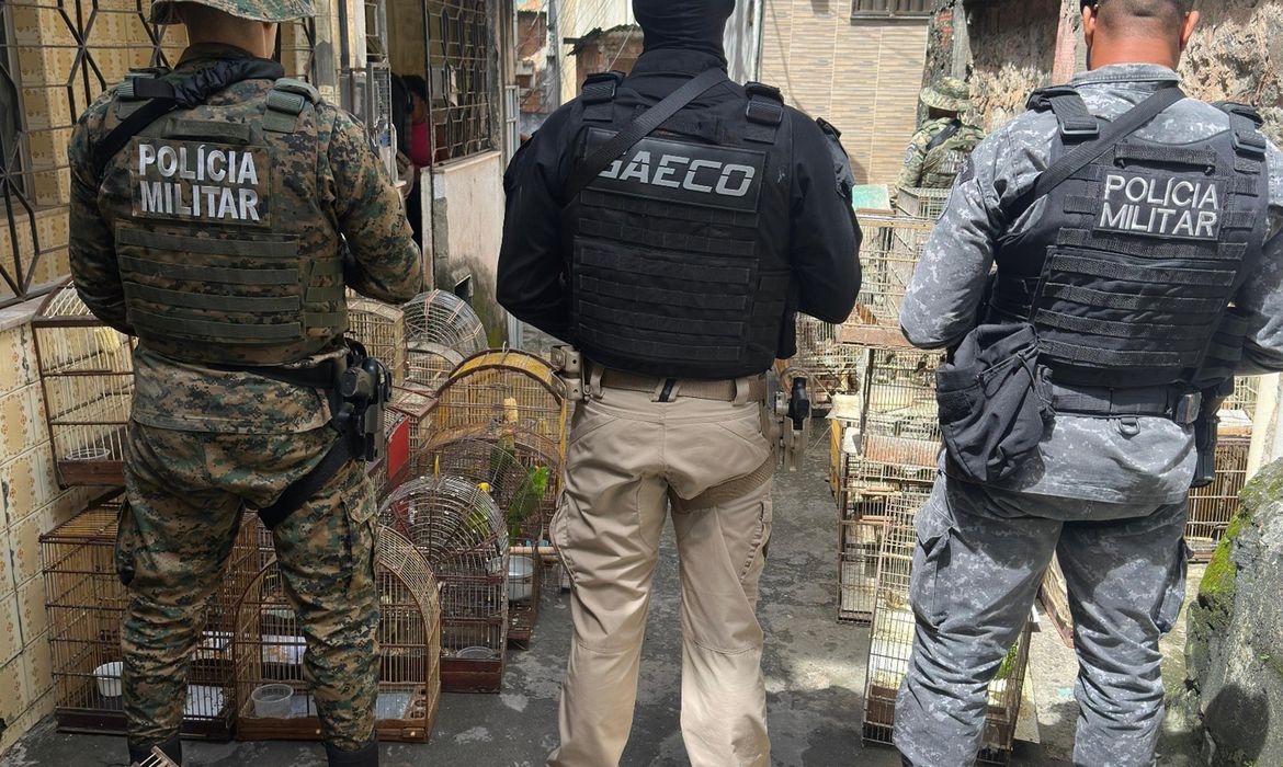 Operação prende na Bahia um dos maiores traficantes de animais do país