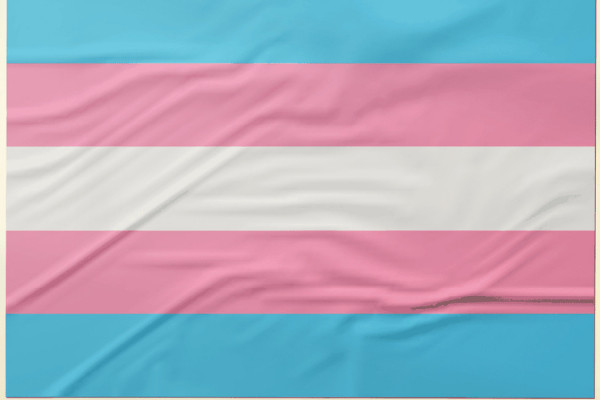 Pesquisa recomenda ações de prevenção ao HPV focadas em pessoas trans