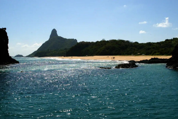 Ilhas brasileiras: estudo revela presença de espécies exclusivas