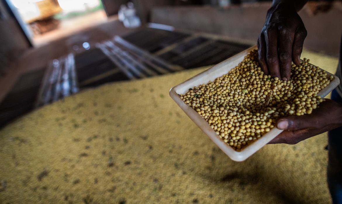 Sorriso, no MT, tem maior PIB agrícola do país; veja o ranking