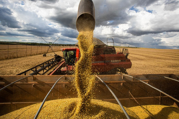 Queda no preço dos alimentos vai permanecer, diz ministro