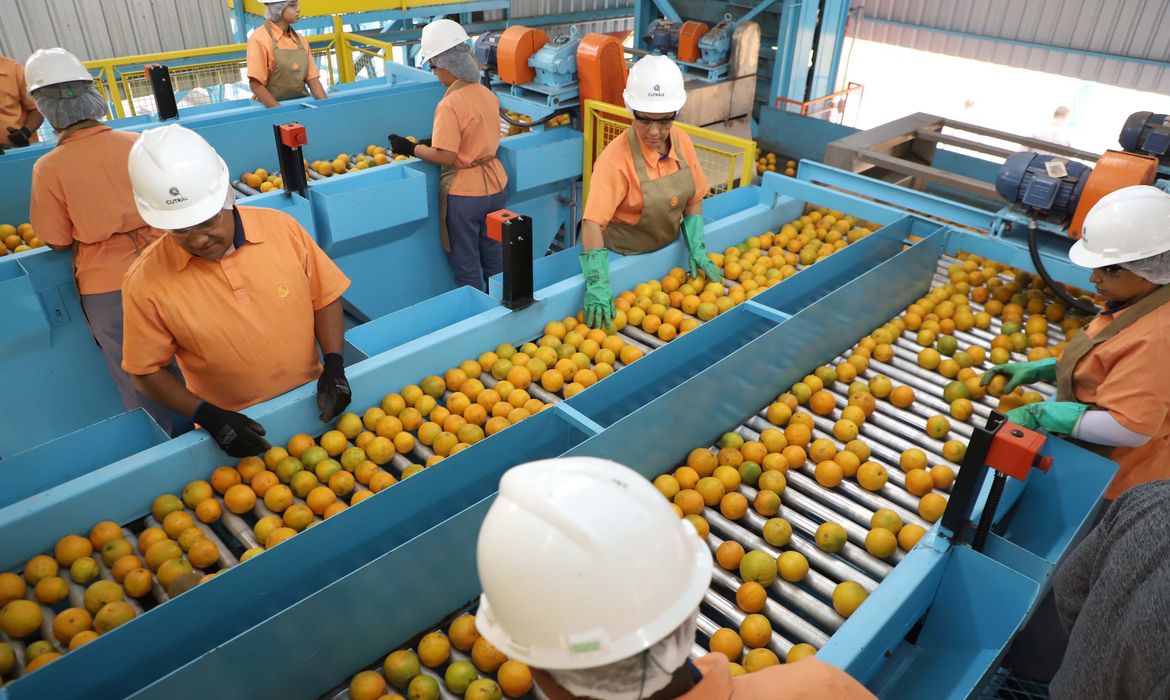 Exportação de produtos atingidos por tarifaço cai 22% em agosto