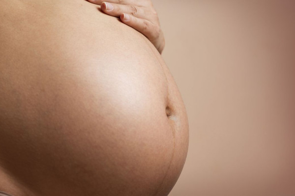 Estudo busca eliminar transmissão vertical de vírus que causa leucemia