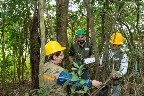 Itaipu triplica diversidade florestal nos arredores do reservatório