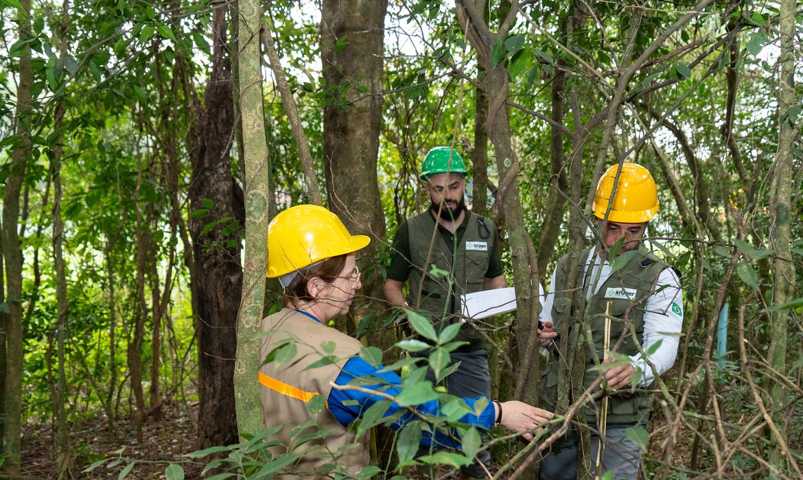 Itaipu triplica diversidade florestal nos arredores do reservatório