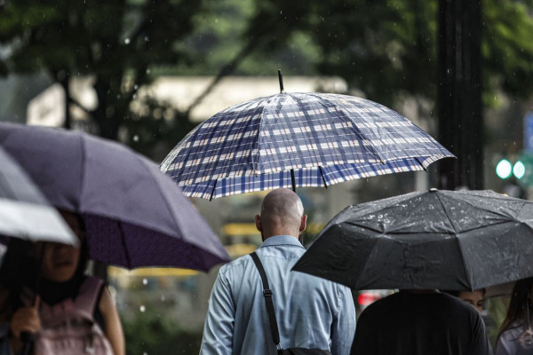 SP: Chuva, ventos fortes e queda de árvores deixam 900 mil sem energia
