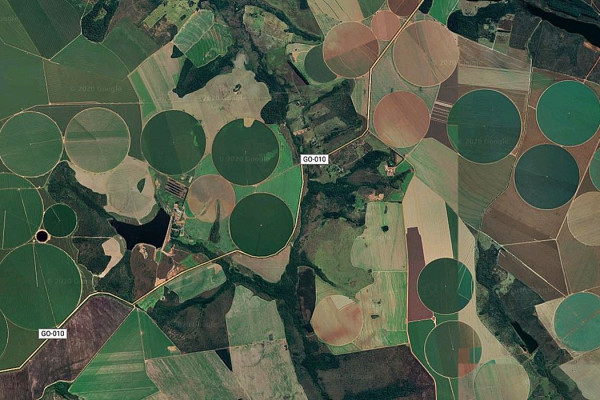Cerrado brasileiro perdeu 28% da vegetação nativa em 40 anos