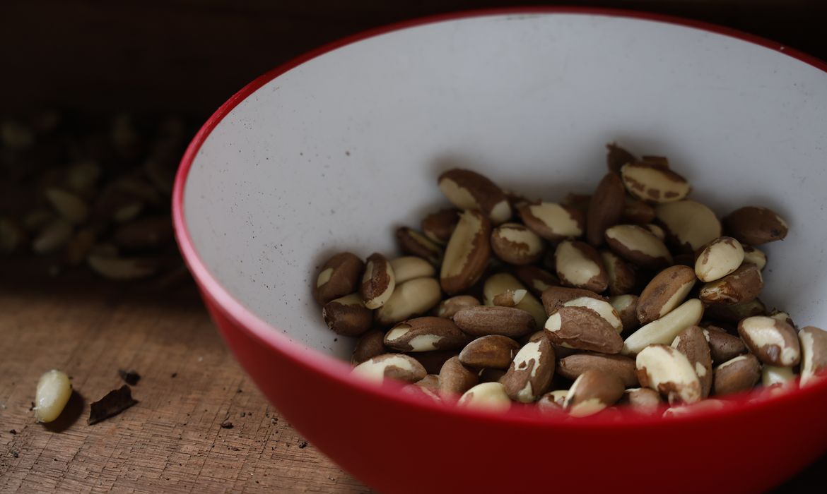 Agricultura familiar do Nordeste vai à maior feira mundial alimentos