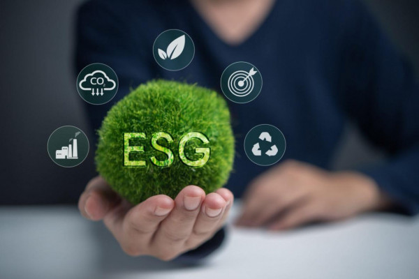 Impacto da governança na agenda ESG é profundo e multifacetado