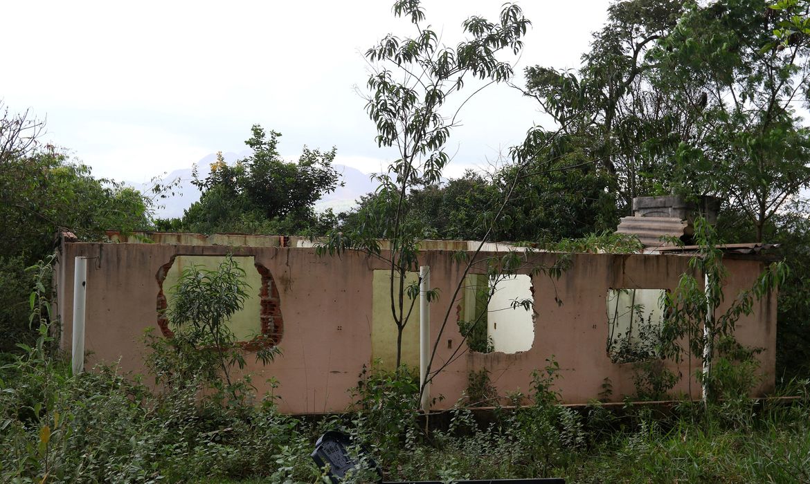 Brumadinho: Crea cancela registro de 15 engenheiros envolvidos 