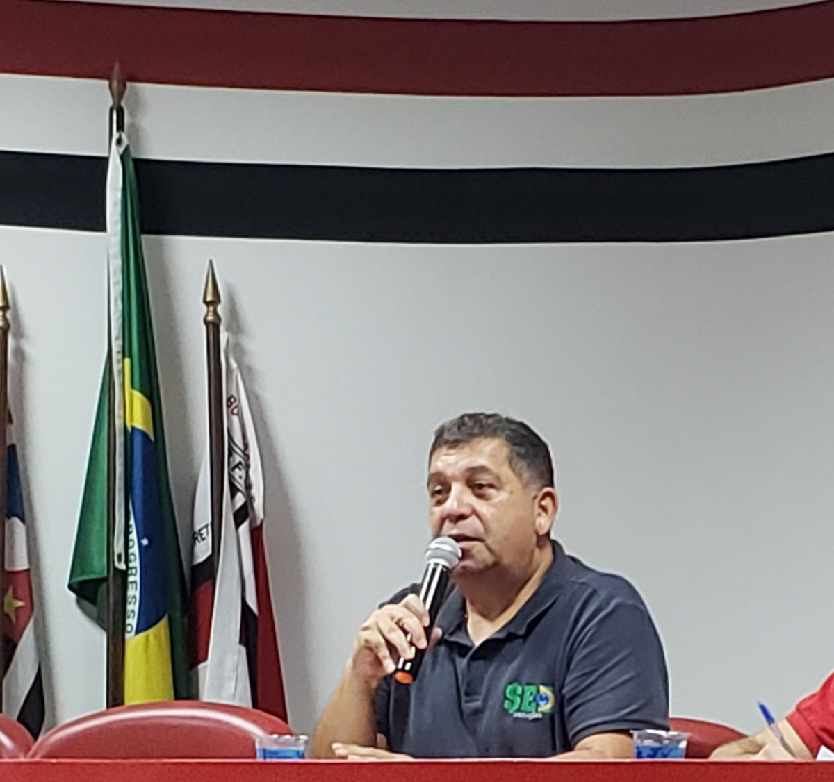 Eduardo Esteves, presidente do Botafogo Futebol Clube, convocou torcida para partida contra o Amazonas