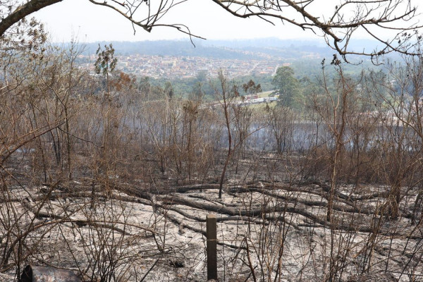 Estudo aponta que financiamento climático no Brasil é desigual
