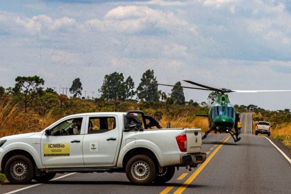 Chuva ajudou no combate a incêndios na Chapada dos Veadeiros