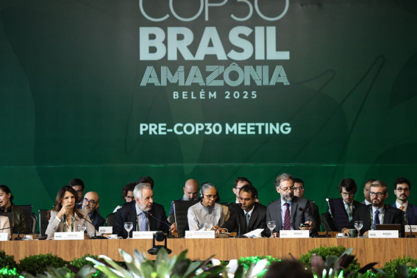 Cerca de 300 iniciativas lançadas em COPs foram descontinuadas
