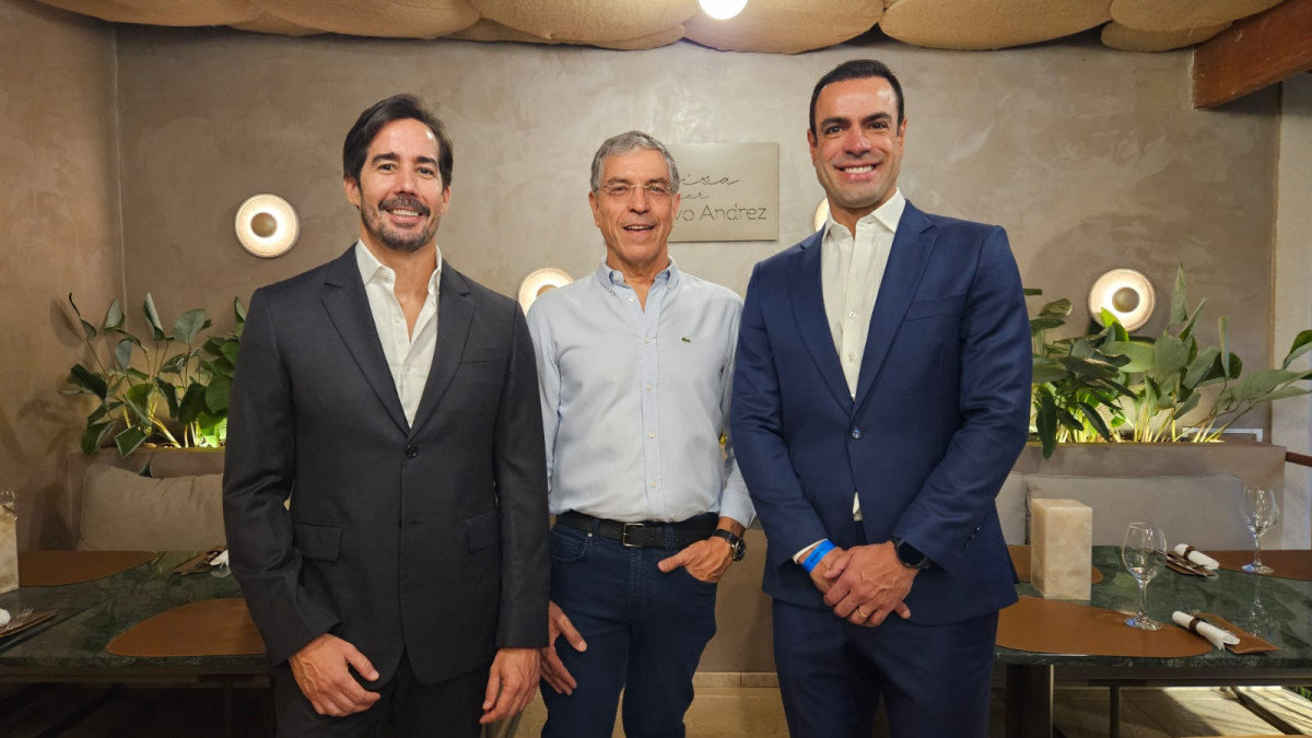 Guilherme Palhares, João Paulo Fortes Guimarães 
e Rodrigo Mauro