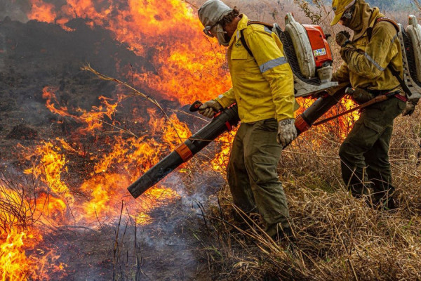 Pré-COP: Brasil propõe resposta global a incêndios florestais