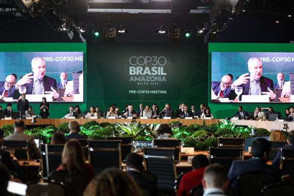 BNDES lança plataforma para acompanhar ações do Fundo Clima