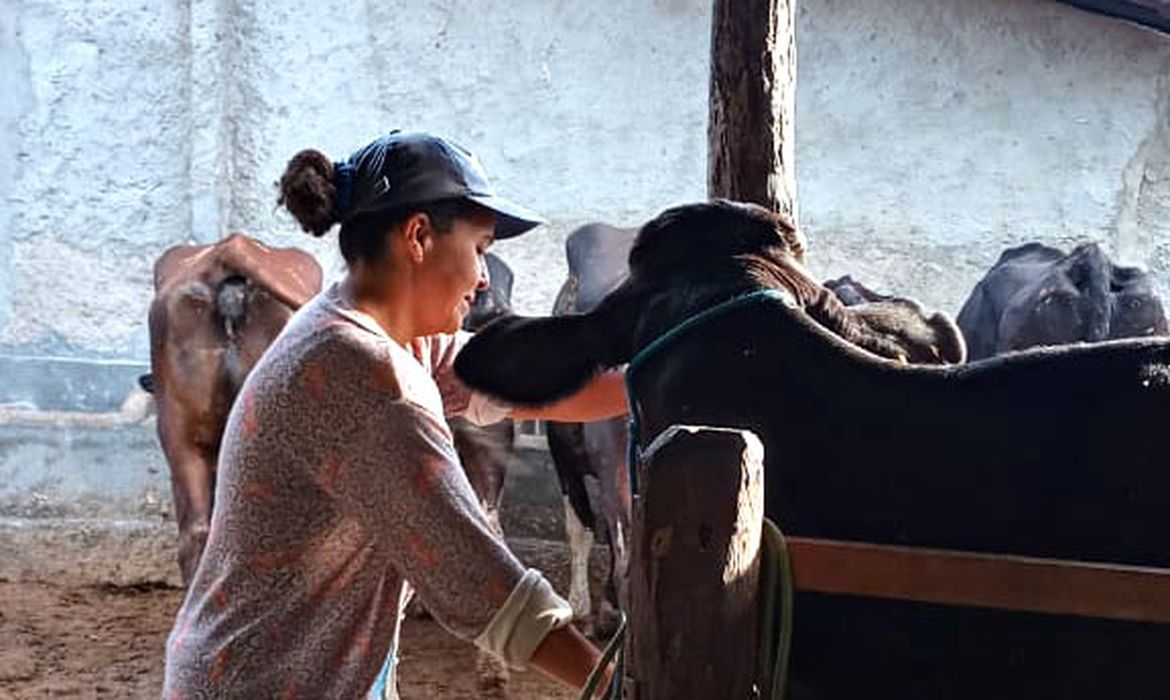 Mulheres rurais enfrentam informalidade e desigualdade no campo