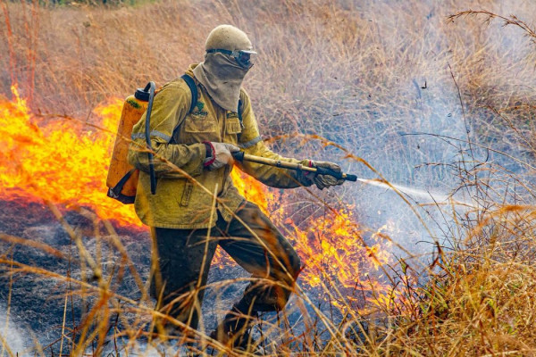 Raios provocam novo foco de incêndio na Chapada dos Veadeiros