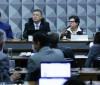 Ex-integrante de Conselho diz na CPI que alertou sobre fraudes no INSS