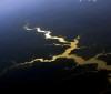 Captura de carbono na Amazônia está em risco, diz estudo