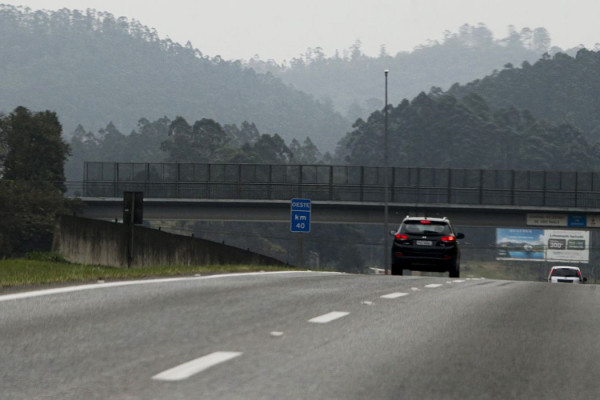 Consórcio PR vence leilão do Lote 4 de Rodovias do Paraná