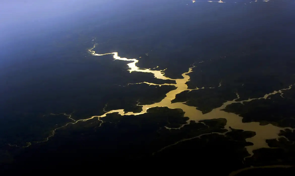 Captura de carbono na Amazônia está em risco, diz estudo