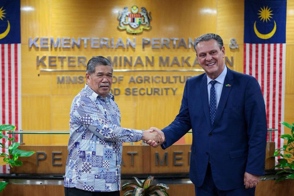 Brasil retoma exportações de carne de frango para a Malásia