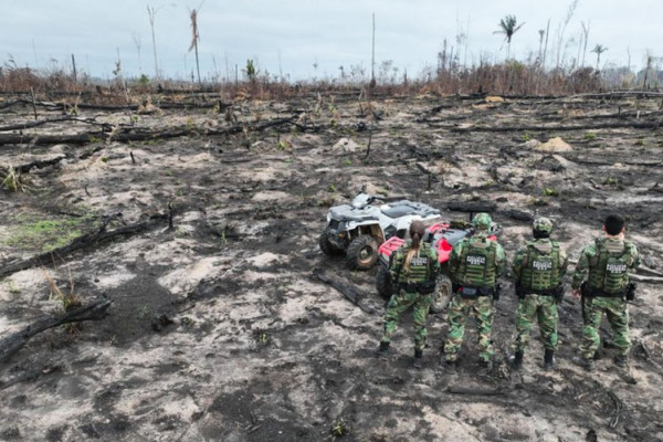Desmatamento na Amazônia ameaça igarapés e segurança hídrica