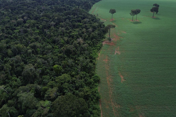 Caravana social vai à COP30 denunciar megaprojetos do agronegócio