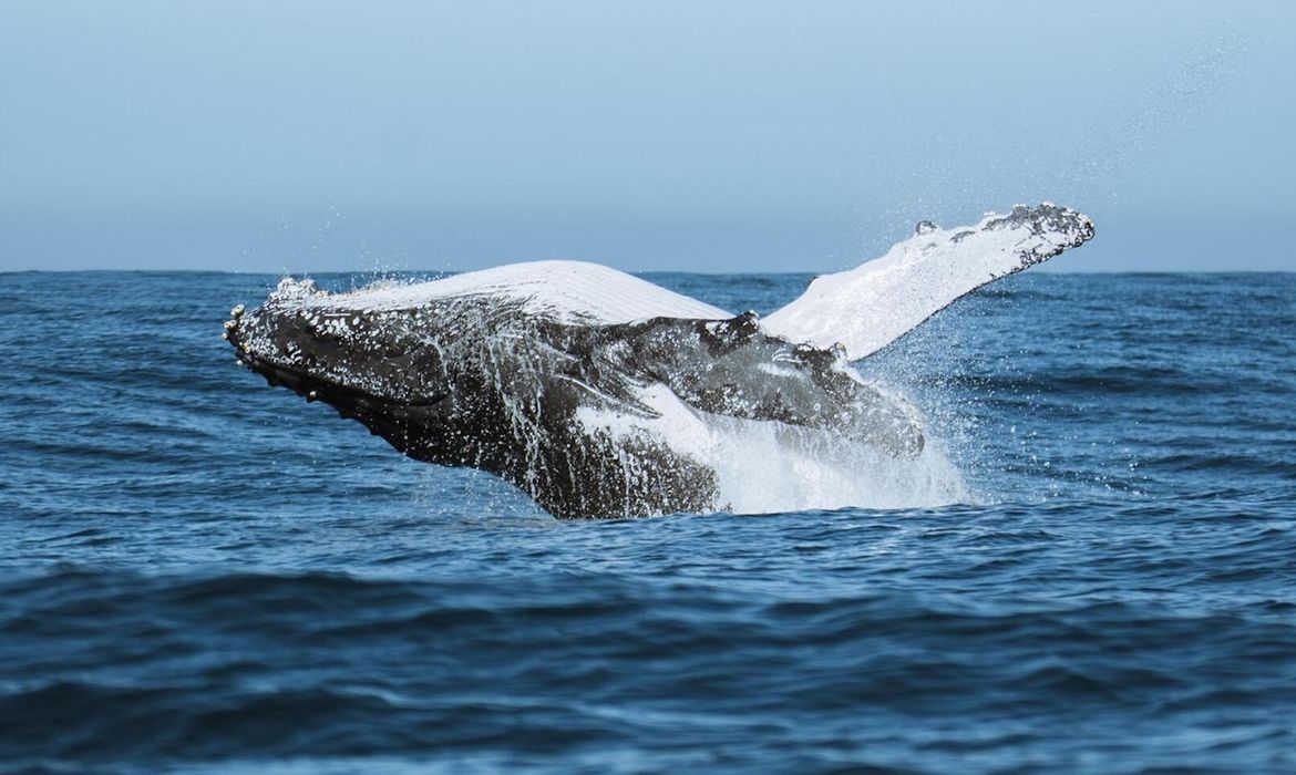Festival une ciência, tecnologia e meio ambiente no audiovisual