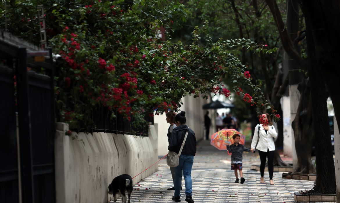 Capital paulista amanhece com céu encoberto e chuva