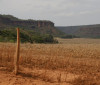 Fronteira Cerrado: acesso desigual ao Estado agrava conflitos agrários