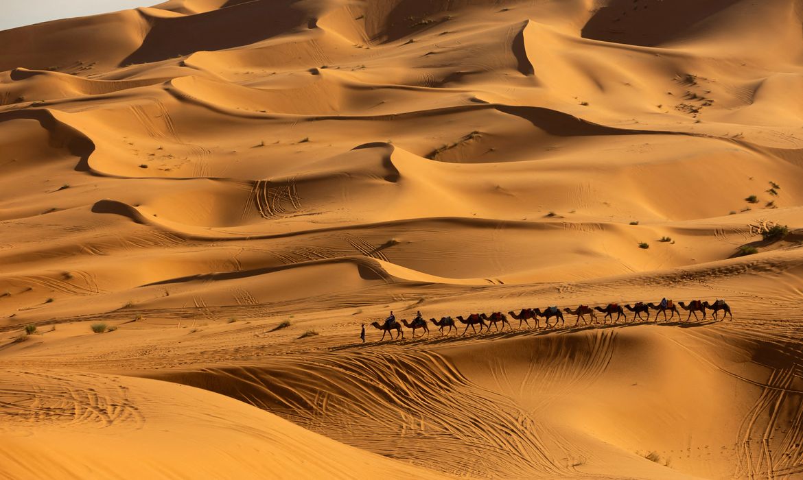 Pesquisa prevê mudanças no clima do Deserto do Saara nos próximos anos