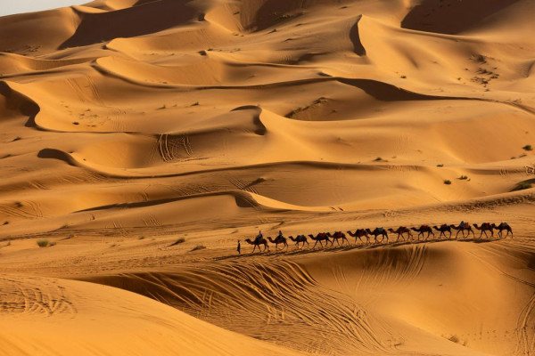 Pesquisa prevê mudanças no clima do Deserto do Saara nos próximos anos