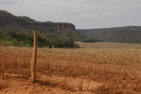 Fronteira Cerrado: acesso desigual ao Estado agrava conflitos agrários