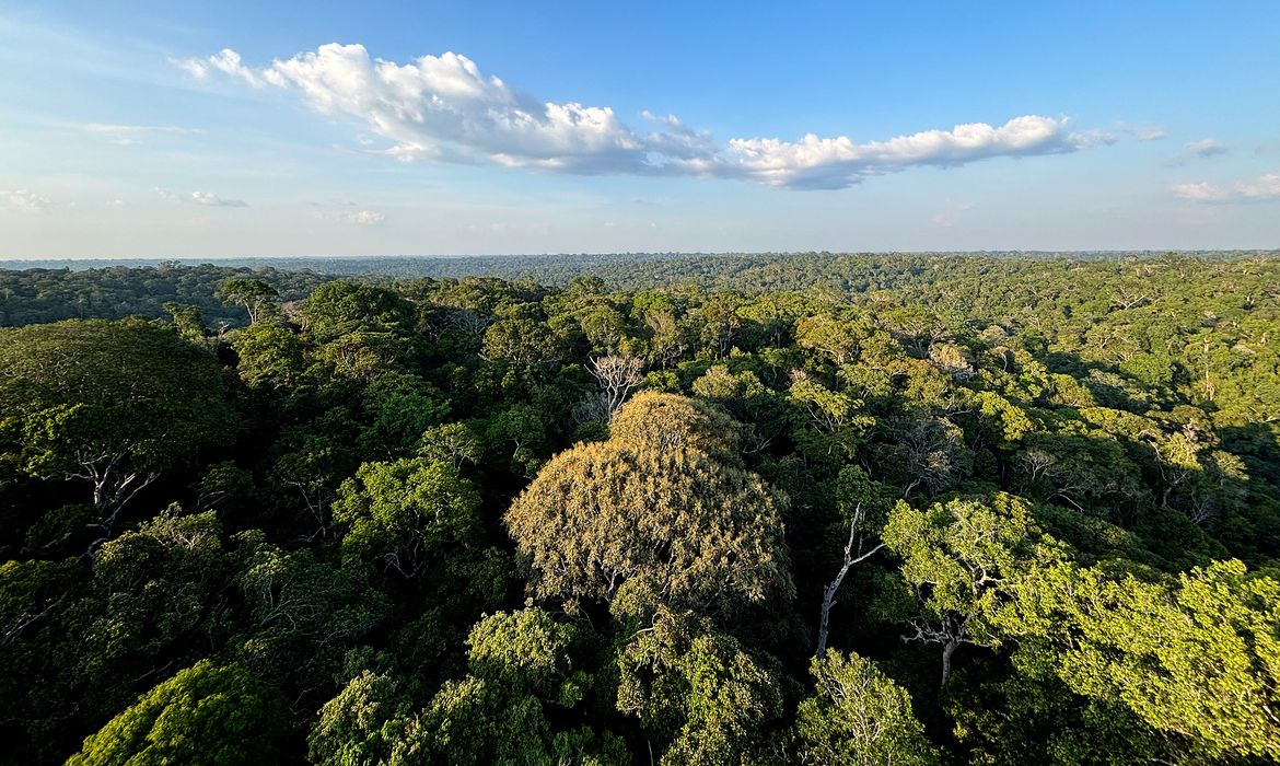 COP30: o que é, quando acontece e o que será discutido em Belém 