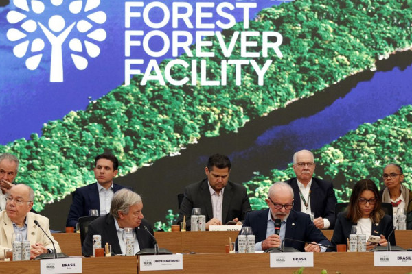 Fundo para florestas tropicais atinge aporte de US$ 5,5 bilhões