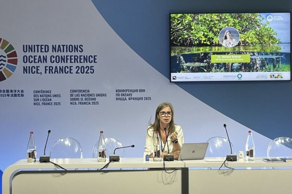 Especialista da COP30 cobra mais financiamento para oceanos
