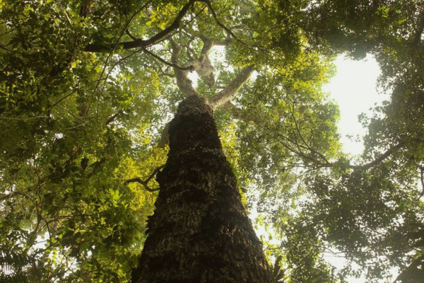 TV Brasil estreia nova temporada de "Parques do Brasil" neste domingo