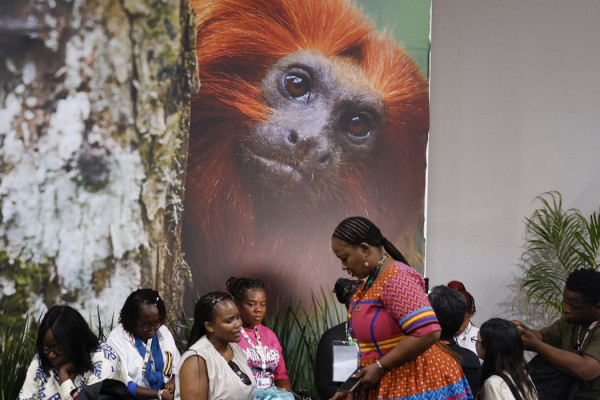 COP30: financiamento, transição e adaptação são centro das negociações