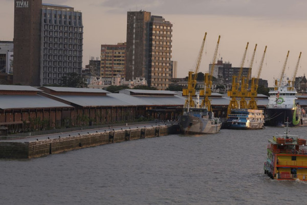 Delegado aponta risco no combate a crimes ambientais com PL Antifacção