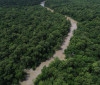 Áreas protegidas são quase metade da Amazônia Legal, mostra IBGE
