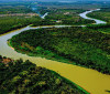 Relatório do MapBiomas revela Pantanal reconfigurado em 40 anos