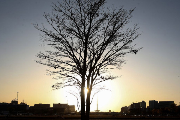 Cientista alerta para risco de aquecimento global por longo tempo