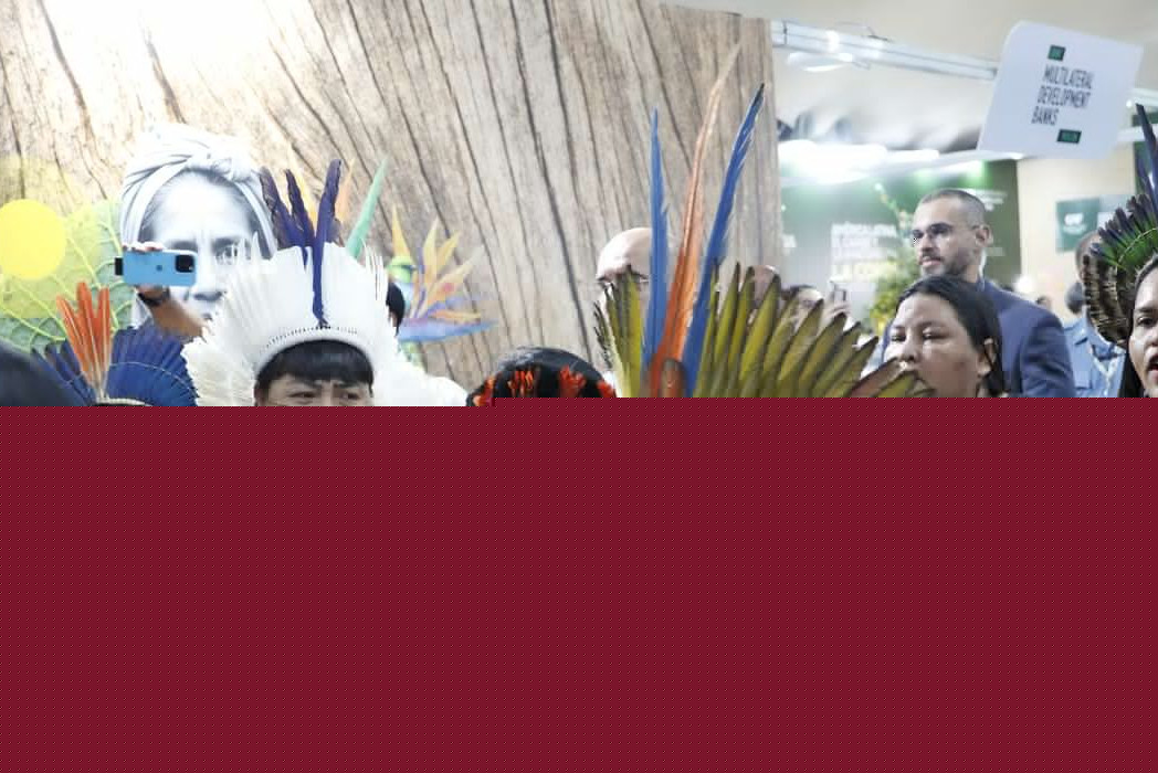 COP30 colocou pauta indígena no centro do debate global, diz ministra